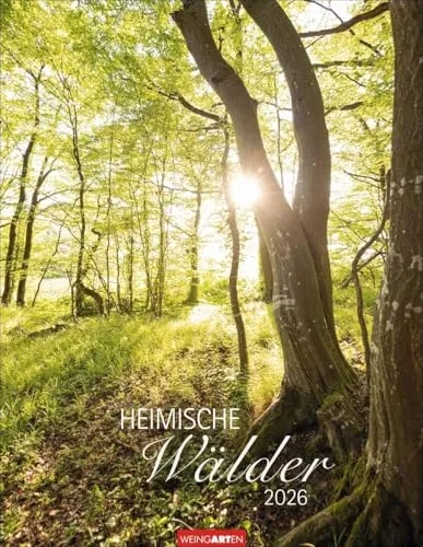 Heimische Wälder Kalender 2026 - Fotografie: Hochwertiger Wandkalender mit stimmungsvollen Wald-Landschaften, ideal für Naturfreunde und eine magische Reise durch die Welt der Bäume.