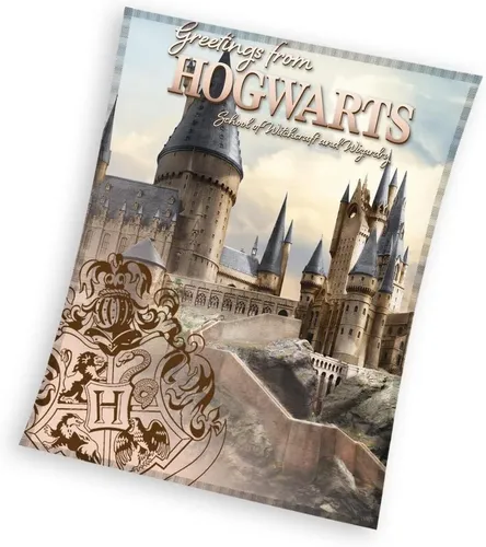 Harry Potter Fleecedecke Hogwarts 130x160 cm - Kuschelige Wärme für Fans - Kuscheldecke im Harry Potter Design, ideal für Kinder und Erwachsene. Mit Öko-Tex Standard für geprüfte Qualität, perfekt für gemütliche Abende im Wohnzimmer oder Kinderzimmer.