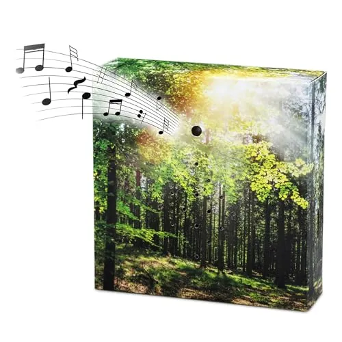 Vogelgezwitscher Soundbox