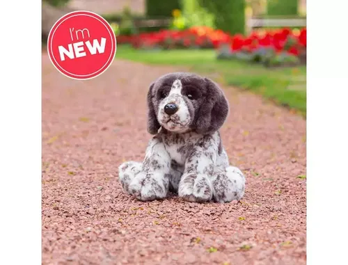 Szczeniak Pointer One for Fun 5038728151822