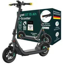 Egret GT Serie E-Scooter mit Straßenzulassung