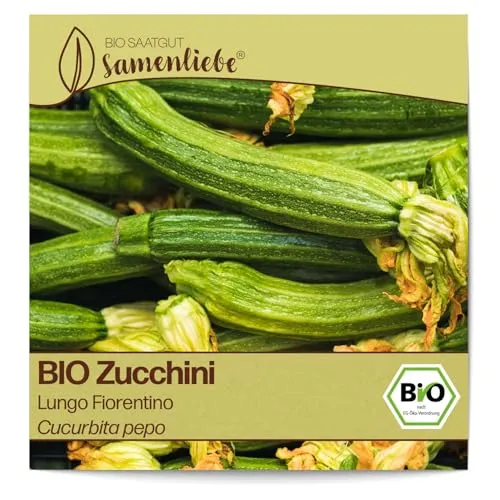 Samenliebe BIO Zucchini Samen alte Sorte Lungo Fiorentino nussige italienische Zucchini gerippt sternförmig gestreift hellgrün 10 Samen samenfestes Gemüse Saatgut für Gewächshaus Freiland und Balkon