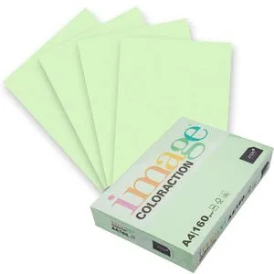 Antalis Coloraction Forest A4 160g hellgrün Papier