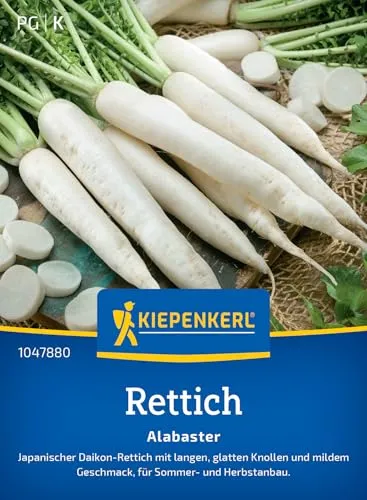 Kiepenkerl Rettichsamen Alabaster 1047880 – Japanischer Daikon Rettich, schnellwüchsig & ertragreich, für Sommer- & Herbstanbau, Gemüsesamen für 8-10 lfd- Meter