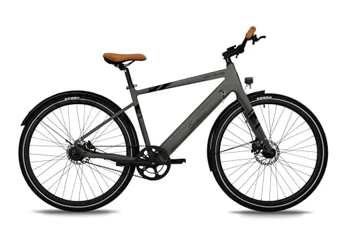 SachsenRAD E-Bike Allrounder Urban Trekking C3T von SachsenRAD