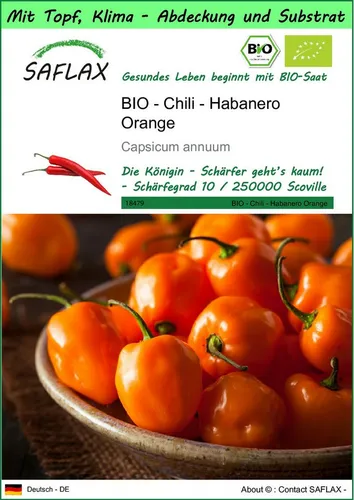 SAFLAX Gemüsesamen SAFLAX - Garden to go - BIO - Chili - Habanero Orange