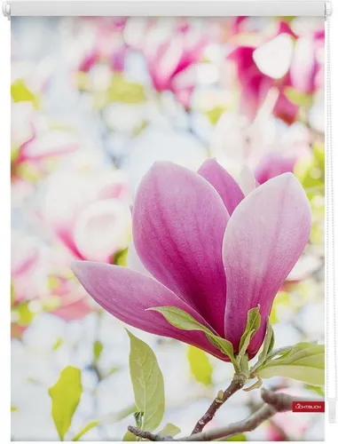 Lichtblick Rollo Klemmfix in pink von LICHTBLICK ORIGINAL