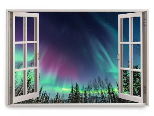 Paul Sinus Wandbild 120x80cm Fensterbild Polarlichter Astrofotografie Nachthimmel Tannen