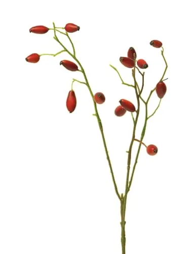 mucplants Künstlicher Hagebutten Zweig Rosehip Kunstpflanze Rot ca. 46 cm Stecker AST Dekoast