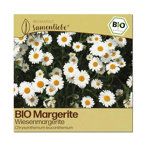 Samenliebe BIO Margeriten Samen | Wiesenmargerite in weiß von Samenliebe
