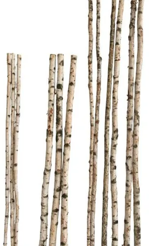 Dekorativer Birkenstamm 180 cm ø 4-6 cm - Deko-Accessoires, ideal für kreative Bastelprojekte und natürliche Wohnakzente.