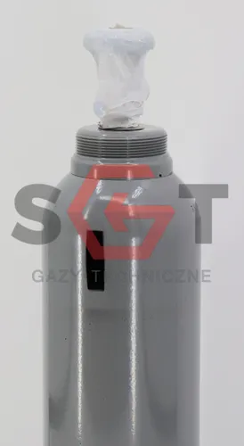 CO2 Gasflasche 8L 6kg mit Steigrohr lebensmittelechtes volle neue Syphonflasce