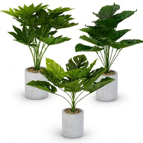 Künstliche Zimmerpflanze Set - 3x Dekopflanze im Tontopf - Set aus drei künstlichen Dekopflanzen, ideal für Fensterbank und Schaufenster. Pflegeleicht und immer grün, perfekt für eine stilvolle Raumgestaltung. Jede Pflanze hat eine Höhe von 52 cm und einen Topfdurchmesser von 10 cm.