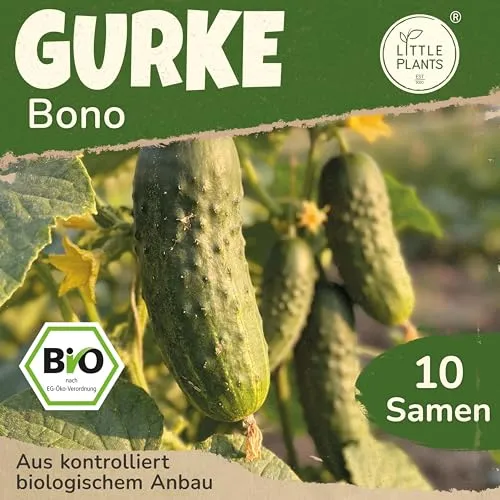 Saatgut von Little Plants