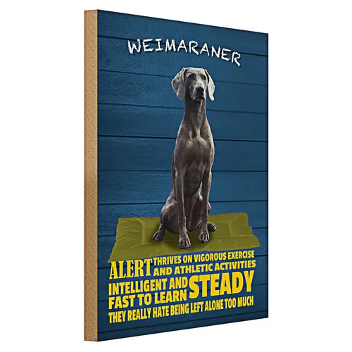 Holzschild Spruch 40x30cm Weimaraner Hund alert and steady