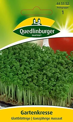 Gartenkresse, glattblättrige,1 Portion