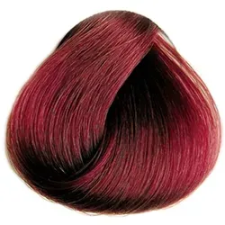 Selective ColorEvo Mix 0.66 intensiv-rot 100 ml