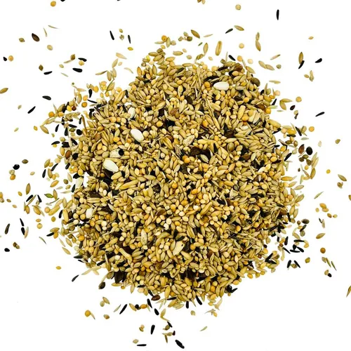 VERSELE-LAGA Neophemen 20kg - Hochwertige Samenmischung für Neophemen und kleine Sitticharten, ideal für eine gesunde Ernährung