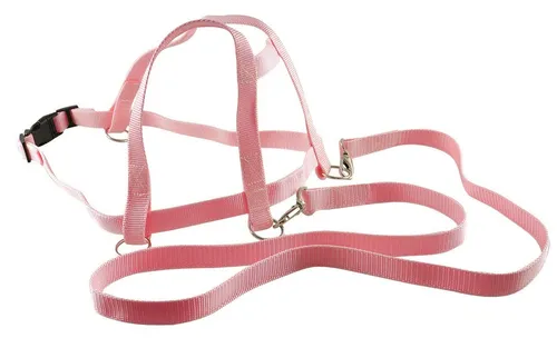 SportFit Spielwerkzeug Laufleine