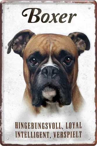 WOGEKA ART Metallbild Hunde-Rassen Steckbrief 20 x 30 cm Blechschild Haustier Hund Deko, Boxer