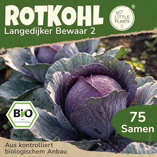 Saatgut von Little Plants