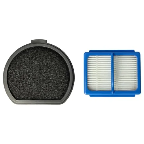 vhbw 1x Hauptfilter, 1x Vorfilter kompatibel mit AEG QX9-1-ALRG, QX9-1-ANIM, QX9, QX9-1-40GG, ASKQX9 Staubsauger