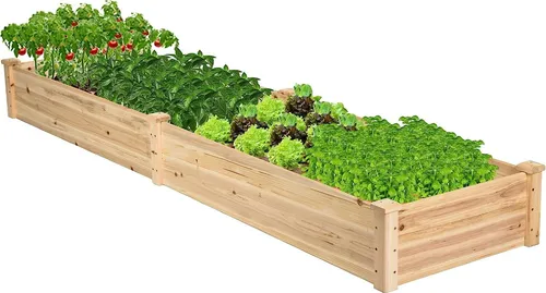 KOMFOTTEU Hochbeet Hochbeetkasten aus Tannenholz, 240 x 60 x 25 cm - Hochwertiges Tannenholz-Hochbeet mit großzügigen Abmessungen von 240 x 60 x 25 cm. Ideal für den Garten oder Gewächshaus, sorgt für optimale Wachstumsbedingungen Ihrer Pflanzen und ist langlebig sowie witterungsbeständig.