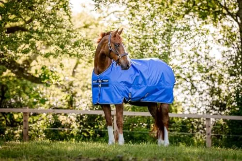 Horseware Amigo Hero Ripstop Original Lite 0g von Horseware