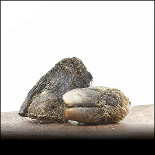 George & Bobs Lammhufe - 10Stk. | mit Fell und unglaublich Hart | Lange beschäftigung mit Fleisch | Für Alergiker | 100% Natürlich