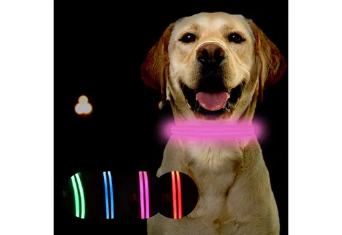 Halsbänder & Geschirre von Petsation