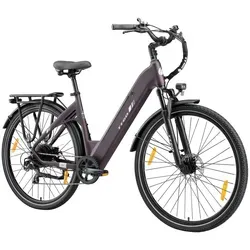 TTGO E-Bike Cityrad C3-SE 648WH von VANKEL