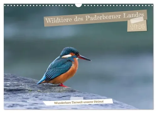 Wildtiere des Paderborner Landes (Wandkalender 2026) - Kalender mit 12 beeindruckenden Naturmotiven aus Ostwestfalen, nachhaltig produziert auf FSC-zertifiziertem Papier – das perfekte Geschenk für Naturliebhaber!
