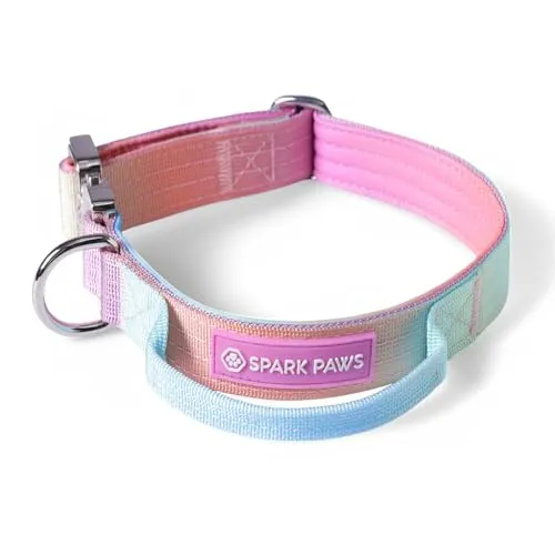 Spark Paws Taktisches Hundehalsband – Robuste, Premium-Qualität, Dick und Langlebig für Große und Mittelgroße Hunde XS: 9-18kg [2.5cm]