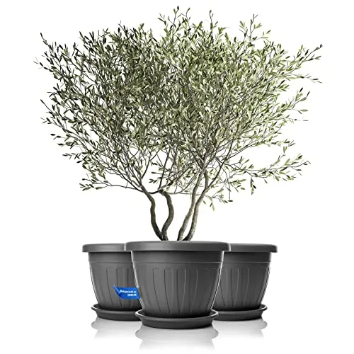 BigDean 3X Blumentopf mit Untersetzer rund ø50xH38 cm anthrazit - wetterfester Pflanzkübel - Wasserablauf UV-beständig aus bruchsicherem Kunststoff - Innen + Außen geeignet - Made in Europe