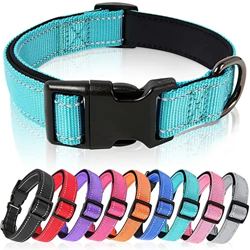 HEELE Hundehalsband, Hundehalsband aus Nylon, Reflektierend Halsband Hund mit Weich Neopren Gepolstert für Welpen Kleine Mittel Große Hunde Läng Einstellbereich 26-38cm, Himmelblau, S