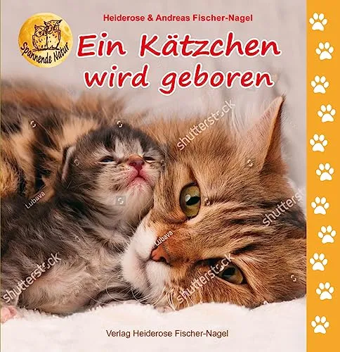 Ein Kätzchen wird geboren (Spannende Natur)