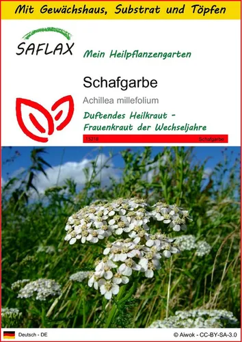 SAFLAX Blumensamen SAFLAX - Anzuchtset - Schafgarbe