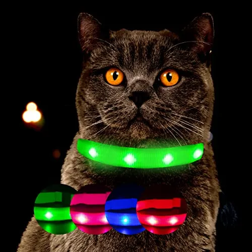 Halsbänder & Geschirre von Petsation