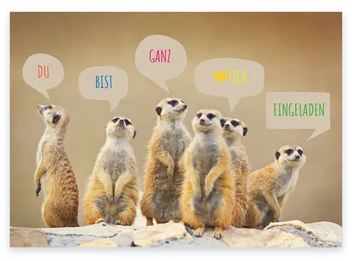 Einladungskarten Geburtstag Geburtstagseinladung Kinder +12 Kuverts 12