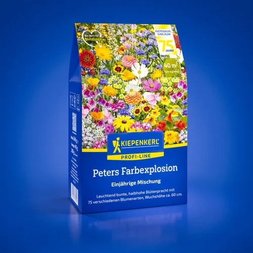Kiepenkerl Profi-Line Blumensamen Farbexplosion 40 g in gelb von Kiepenkerl