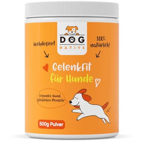 DOG NATIVE GelenkFit für Hunde, hochdosiertes Gelenkpulver mit Grünlippmuschel, MSM, Chondroitin & Kollagen, natürliches Pulver für Gelenke, 500g