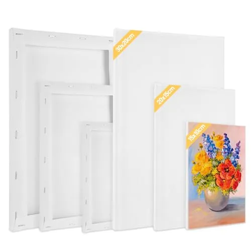 Tapvai Keilrahmen Leinwand Zum Bemalen, 6 Stück, 30x20,20x15,15x10 CM, Leinwand Aus Säurefreie Baumwolle, Canvas Leinwände für Acrylfarben Ölgemälde, Anfänger Künstler