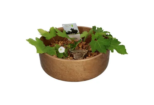 MamboCat Dekoschale Ethan Dekoschale Größe: M Bronze Ø 29 cm