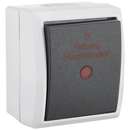 AquaForm, grau, Heizung Hauptschalter AP, IP 44 in grau von REV Ritter