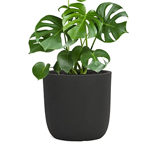 Pflanzwerk® Pflanzkübel Cup 27cm Ø Anthrazit - Premium Blumenkübel - Hochwertiger Pflanzkübel aus robustem Material, frostbeständig und UV-geschützt. Ideal für drinnen und draußen. Durchmesser 27cm, perfekt für Ihre Pflanzen! Entdecken Sie auch weiteres Zubehör für optimale Pflanzergebnisse.