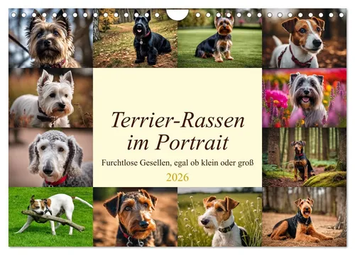Claudia Kleemann | Terrier-Rassen im Portrait 2026 - Kalender mit 14 Seiten, zeigt furchtlose Terrier-Rassen in beeindruckenden Portraits, ideal für Tierliebhaber und als Geschenk.