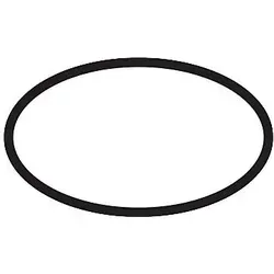 hansgrohe O-Ring 30 x 2 mm 98186000 von Hansgrohe