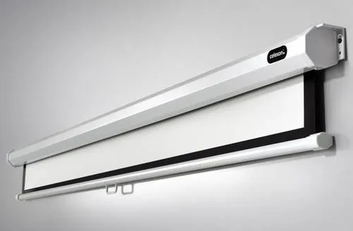 celexon Economy Rollo-Leinwand 90