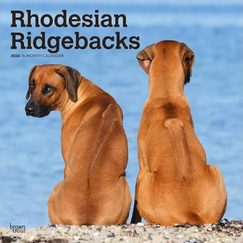 Rhodesian Ridgeback 2026 von BrownTrout
