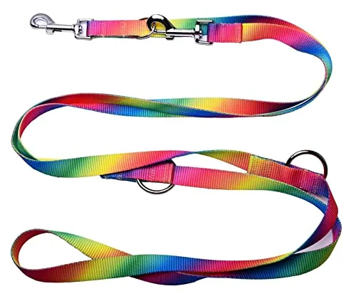 Robuste Doppelleine aus Nylon bunt Hundeleine für Hunde bis 60kg mehrfach verstellbar (3M)